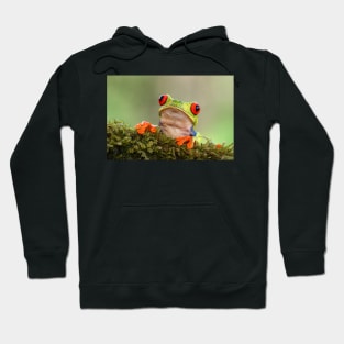 Red-eyed Tree Frog - Costa Rica Hoodie